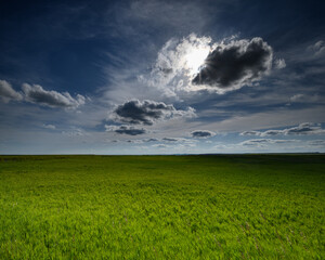 Grassland in Badlands National Park South Dakota
