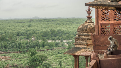 Orchha the lost city of India