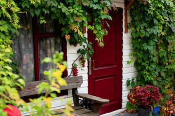 Fototapeta na wymiar Old burgundy wooden door to Burgundy outside view. An old window with a curtain, a wooden bench. Milk siding facade braided with wild grapes. Artificial bunches of grapes and indoor potted flowers