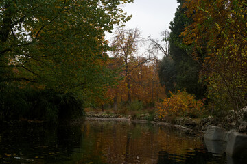Fototapeta na wymiar krajobraz woda park drzewa kolory natura
