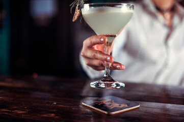 Fototapeta na wymiar Girl bartender mixes a cocktail in the porterhouse