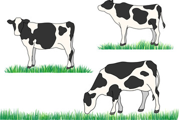牛　横向き　カラー　セット