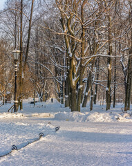 Alexander Garden in St. Petersburg.