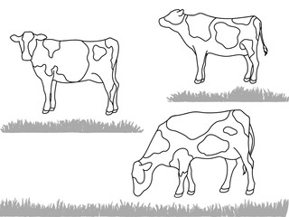 牛　横向き　線画　セット