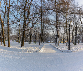 Obraz premium Alexander Garden in St. Petersburg.