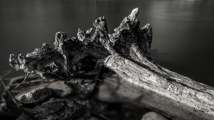 Baustumpf in der Isar S/W