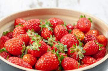 close-up of fresh and early strawberries