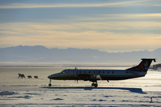 Airplane taking off from Barter Island LRRS airport Kaktovik Alaska with polar bears and Brooks Range mountains Kaktovik, Alaska - October 15, 2013