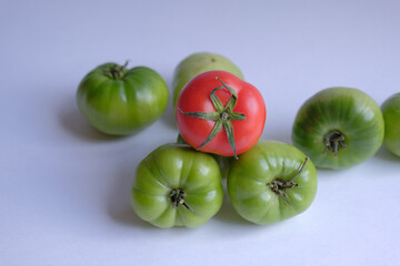 difference concept. one red tomato among green tomatoes. Leadership, uniqueness, think different,...