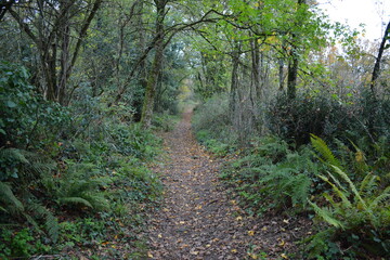 Saint-Herblain - Parc de la Chézine