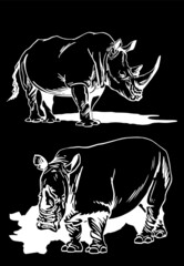 Vector set of rhinoceroses isolated on black background,  illustration