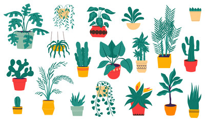 House plants. Cartoon tropical and desert flowers in ceramic pots. Isolated evergreen indoor ficuses, palms and cactus. Flat hand drawn succulent and monstera. Vector home interior decoration set