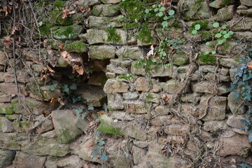 Saint-Herblain - Parc de la Chézine - Ancien mur de pierres