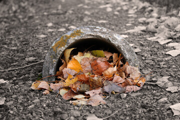 A small pile of autumn leafs in a desaturated setting