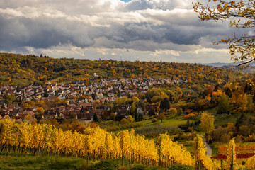 Herbstliche Weinberge in Stuttgart