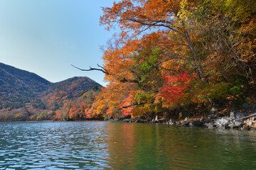 中禅寺湖八丁出島　湖上からの紅葉　カヤック