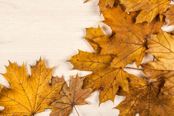 Naklejka na ściany i meble foliage of autumn leaves on a wooden background