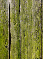 Old wooden fence covered with green moss. Old wooden rustic background.