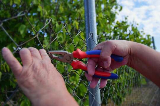 Manos de mujer trabajando en el campo con alicates y alambre.