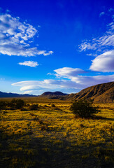 Valley In The Mojave Desert