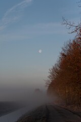 Księżyc nad drogą we mgle