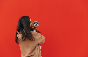 Positive woman in casual clothes hugs a cute little dog on a red background. Female owner carries a pet in her arms. Isolated.