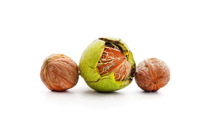 Three different walnuts.