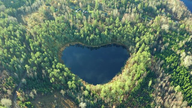 Heart shaped lake in forest. Tilting drone shot of natural wonder in nature environment. Symbol sign for love peace save the our planet in Swedish woods. blue pond water with special shape in Sweden.
