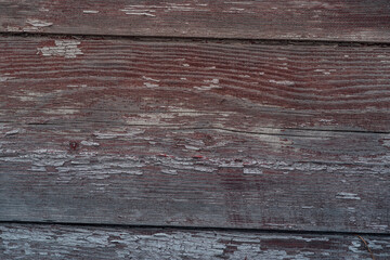 Texture of old wooden planks. Close up of shabby peeling paint on boards. Concept of background for your text.