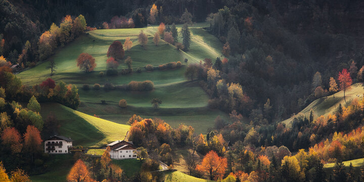 Autumn