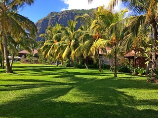 Idyllic paradise island, tropical nature nature Mauritius, peaceful exotic landscape in summer sunny day, trimmed green grass lawn in palm garden near mountain, Tranquility,relax,happiness,dream world