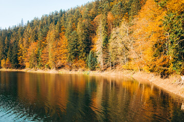 Fototapeta premium Beautiful autumn landscape. Reflection of colored trees in the lake