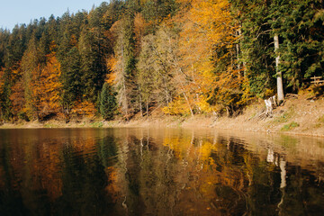 Beautiful autumn landscape. Reflection of colored trees in the lake