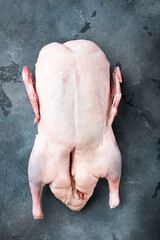 Whole raw goose on grey background, top view