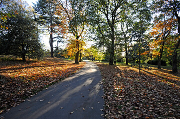 Parque Jardim Botânico Kew Gardens. Londres. Inglaterra. Europa