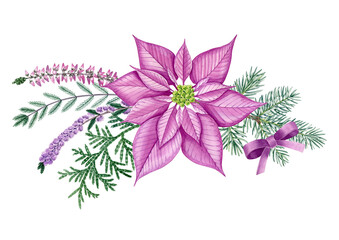 Watercolor hand drawn christmas decoration with  pink poinsettia, heather branches, pink bow, thuja branch. Can be used a print, postcard, invitation, greeting card, packaging design, textile, label.