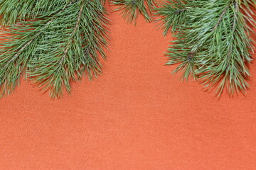 On an orange fabric background, a frame made of live fluffy pine branches.