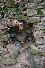 Saint-Herblain - Parc de la Chézine - Ancien mur de pierres
