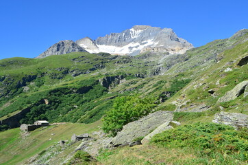 View of Dent Perrachée Mountain and alpine meadows in Vanoise National Park