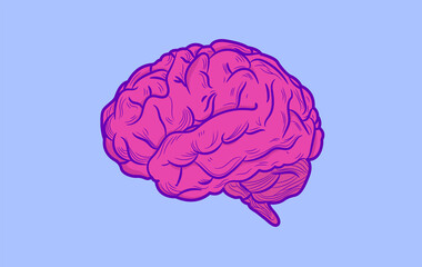 Human brain vector illustration - Pink beautiful detailed brain on blue background.