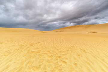 Sand dunes, Northland, New Zealand