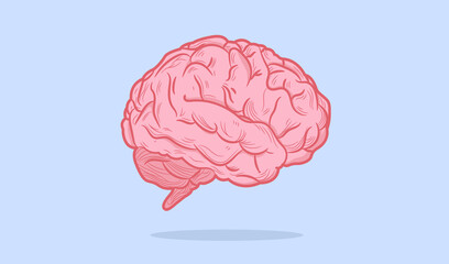 Brain vector illustration - Detailed human brain isolated on blue background. Mind and intellect concept.