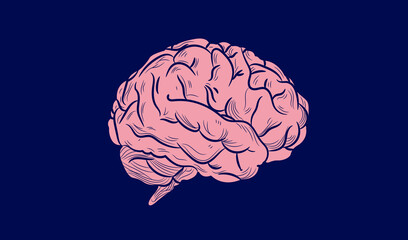 Brain icon vector illustration - Detailed human brain isolated on blue background. Mind and intellect concept.
