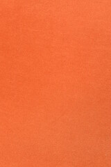 On a vertical orange fabric background, a frame made of live fluffy pine branches.