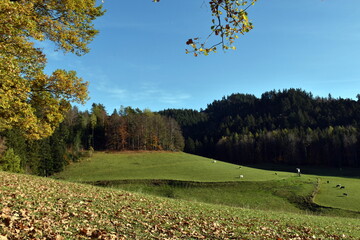 Herbstlandschaft auf dem Giersberg in Kirchzarten
