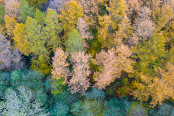 Diverse Drohnen-Motive Schleswig-Holstein Germany