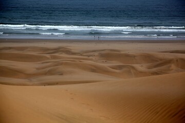 Fototapeta na wymiar La dunne de plage planche