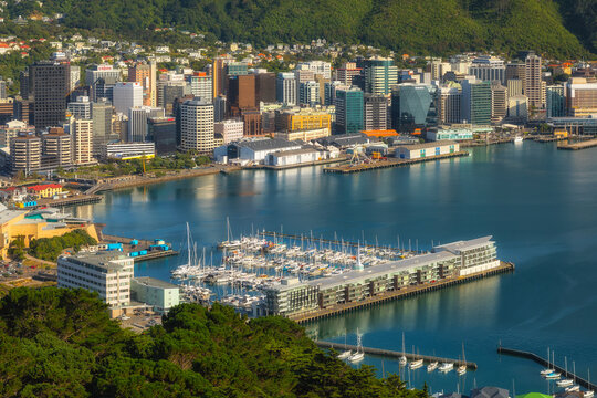 Wellington, New Zealand