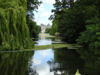 Fototapeta premium Lake with trees and buildings in the distance in the city