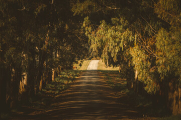 caminos muy bellos de la argentina